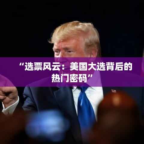 “选票风云:美国大选背后的热门密码”