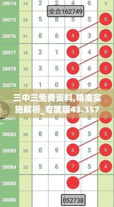 三中三免费资料,精准实施解析_专属版43.357
