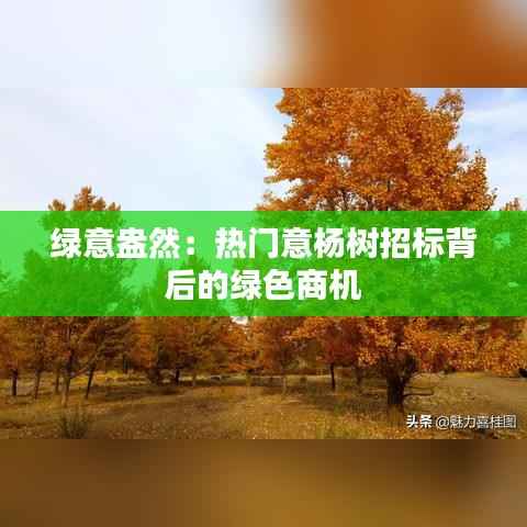 绿意盎然：热门意杨树招标背后的绿色商机