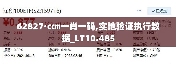62827·c㎝一肖一码,实地验证执行数据_LT10.485