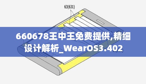 660678王中王免费提供,精细设计解析_WearOS3.402