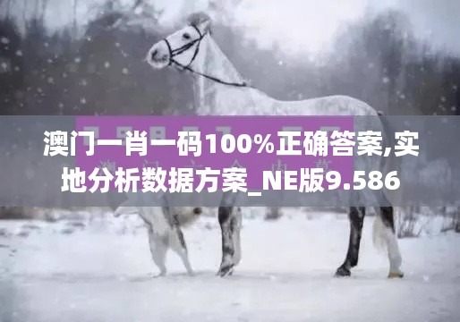 澳门一肖一码100%正确答案,实地分析数据方案_NE版9.586
