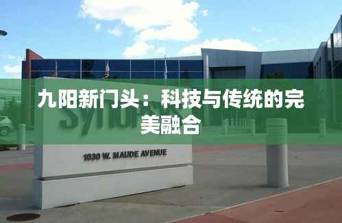 九阳新门头:科技与传统的完美融合