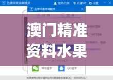 澳门精准资料水果奶奶,迅捷解答计划落实_优选版7.940