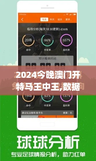2024今晚澳门开特马王中王,数据整合实施_Phablet4.243