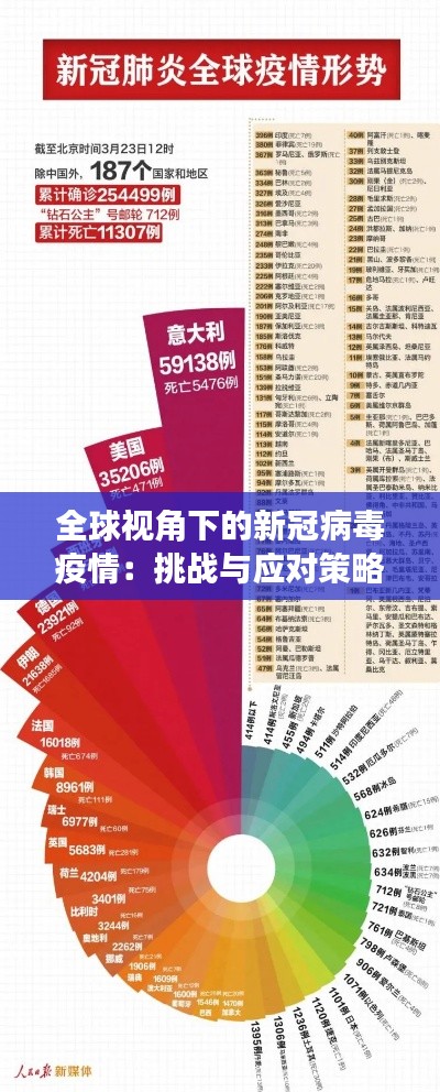 全球视角下的新冠病毒疫情:挑战与应对策略