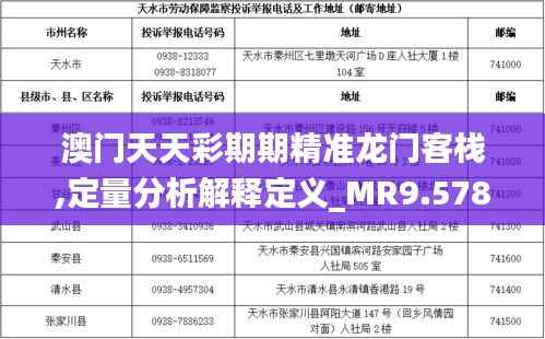 澳门天天彩期期精准龙门客栈,定量分析解释定义_MR9.578