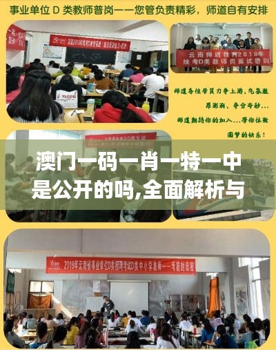 澳门一码一肖一特一中是公开的吗,全面解析与深度体验_3DM8.400