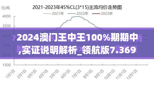 2024澳门王中王100%期期中,实证说明解析_领航版7.369