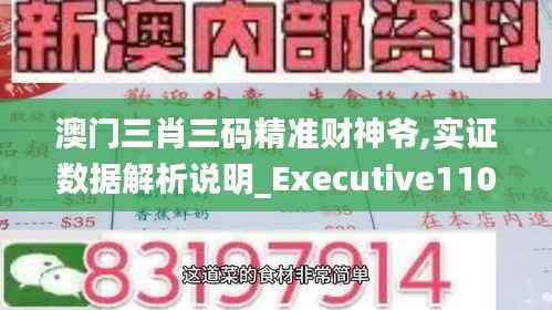 澳门三肖三码精准财神爷,实证数据解析说明_Executive110.939