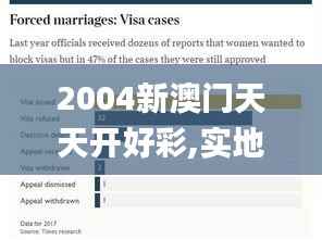 2004新澳门天天开好彩,实地分析解释定义_FT9.495