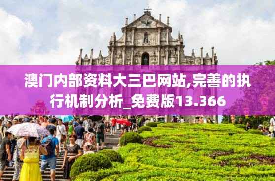 澳门内部资料大三巴网站,完善的执行机制分析_免费版13.366