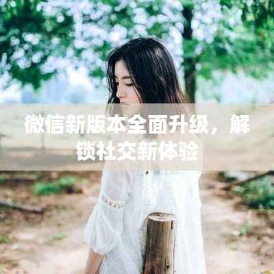 微信新版本全面升级,解锁社交新体验