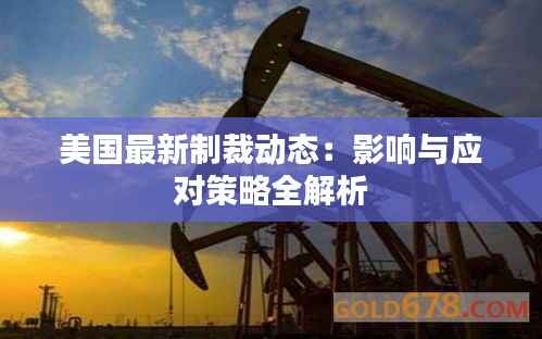 美国最新制裁动态:影响与应对策略全解析