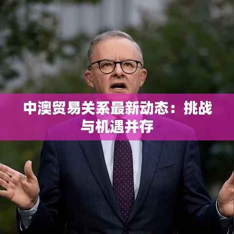 中澳贸易关系最新动态:挑战与机遇并存