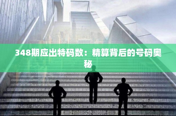 348期应出特码数：精算背后的号码奥秘