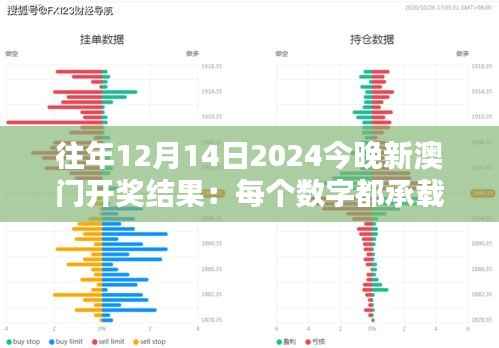 往年12月14日2024今晚新澳门开奖结果:每个数字都承载着希望