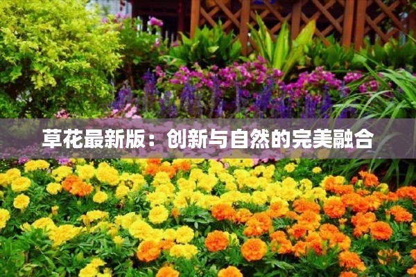 草花最新版：创新与自然的完美融合