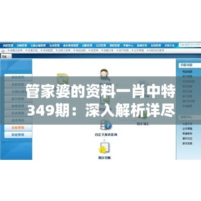 管家婆的资料一肖中特349期:深入解析详尽的财税管理信息