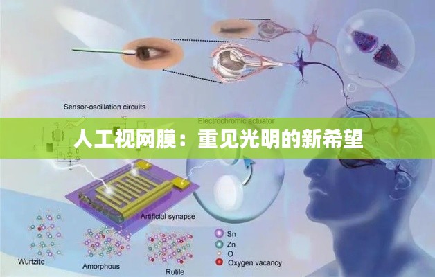 人工视网膜:重见光明的新希望