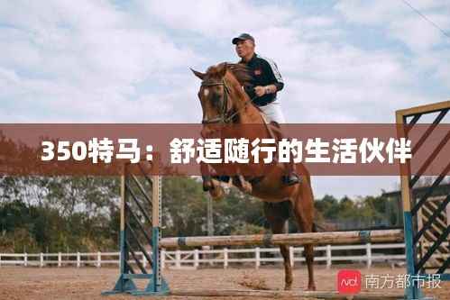 350特马：舒适随行的生活伙伴