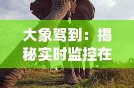 还醇返朴 第4页