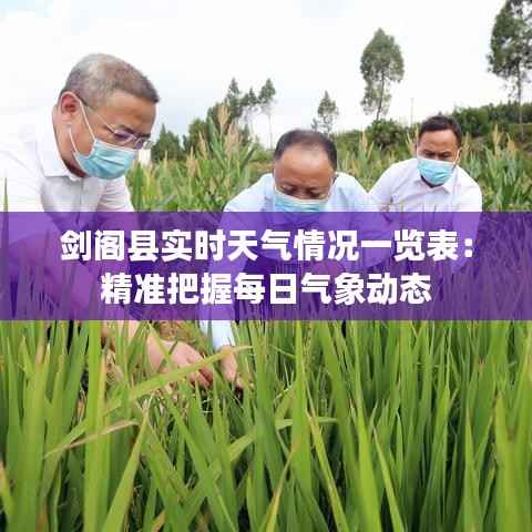 剑阁县实时天气情况一览表:精准把握每日气象动态