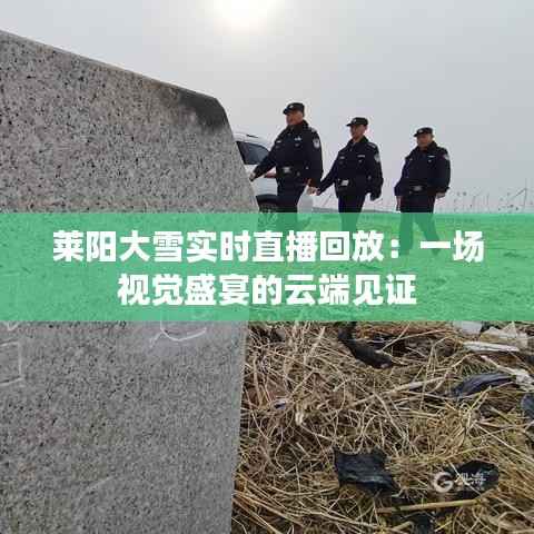莱阳大雪实时直播回放：一场视觉盛宴的云端见证
