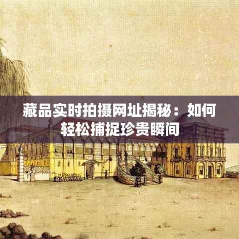 藏品实时拍摄网址揭秘:如何轻松捕捉珍贵瞬间