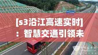 越鸟南栖 第3页