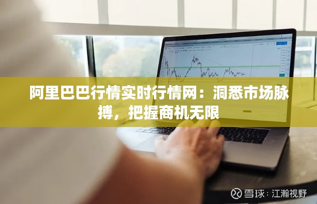 阿里巴巴行情实时行情网:洞悉市场脉搏,把握商机无限