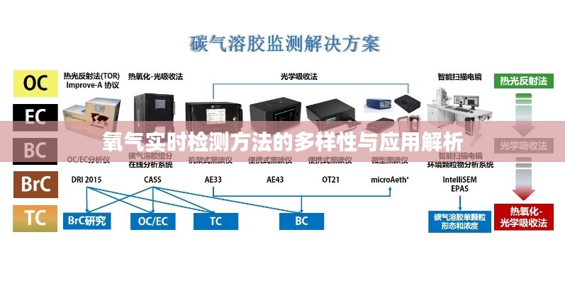 氧气实时检测方法的多样性与应用解析