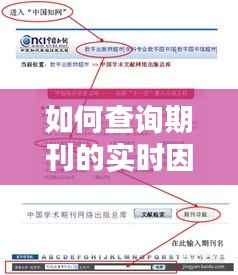 如何查询期刊的实时因子:全面指南