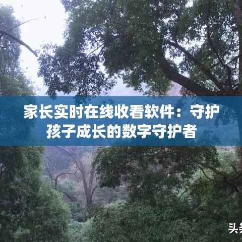 家长实时在线收看软件:守护孩子成长的数字守护者