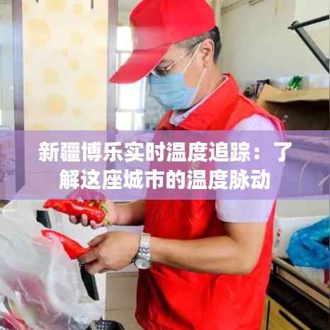 新疆博乐实时温度追踪:了解这座城市的温度脉动