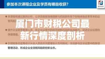 厦门市财税公司最新行情深度剖析
