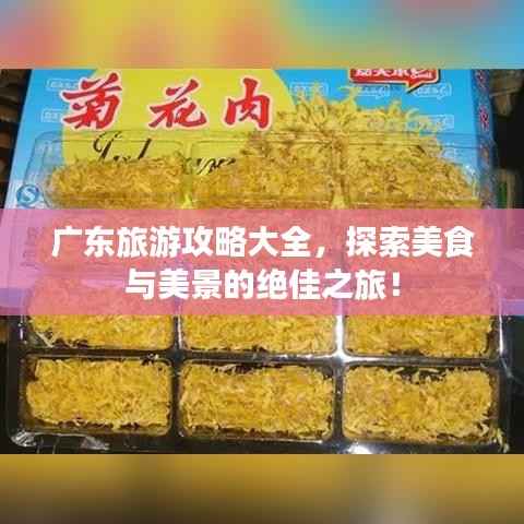 广东旅游攻略大全,探索美食与美景的绝佳之旅!
