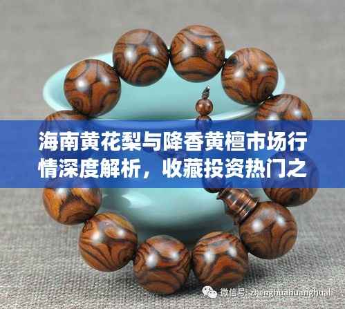 海南黄花梨与降香黄檀市场行情深度解析,收藏投资热门之选