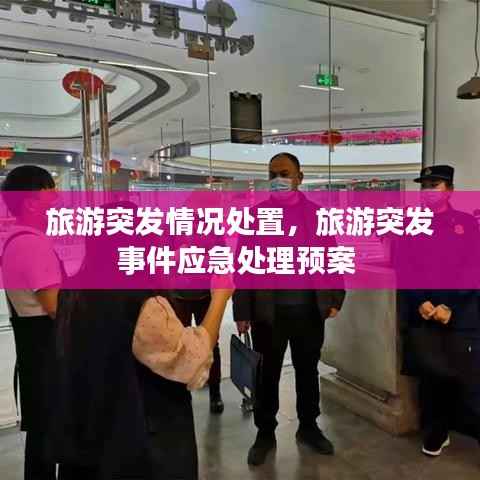 旅游突发情况处置,旅游突发事件应急处理预案