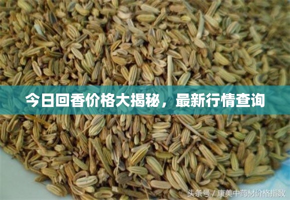 今日回香价格大揭秘,最新行情查询