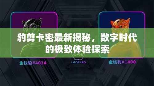豹剪卡密最新揭秘，数字时代的极致体验探索