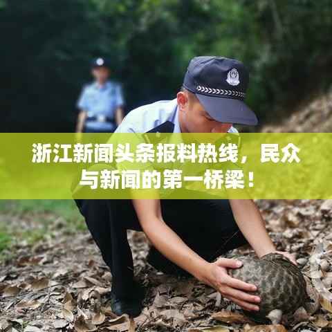 浙江新闻头条报料热线,民众与新闻的第一桥梁!