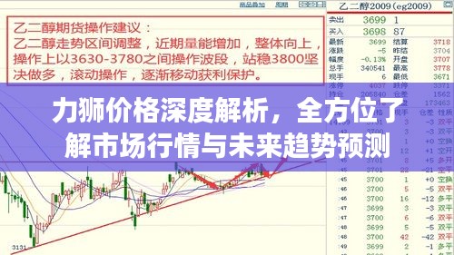 力狮价格深度解析,全方位了解市场行情与未来趋势预测