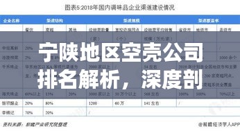宁陕地区空壳公司排名解析,深度剖析当地空壳企业状况