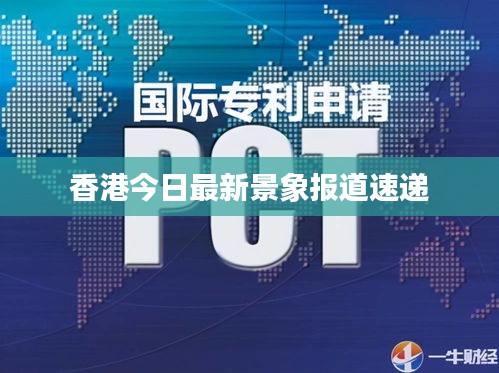 香港今日最新景象报道速递