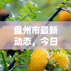 盘州市最新动态,今日情况更新报道