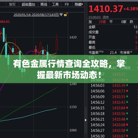 囫囵吞枣 第3页