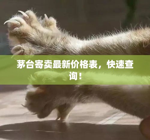 茅台寄卖最新价格表,快速查询!