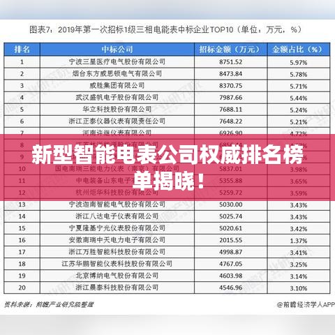 新型智能电表公司权威排名榜单揭晓!