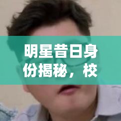 明星昔日身份揭秘,校园时代的校草风采